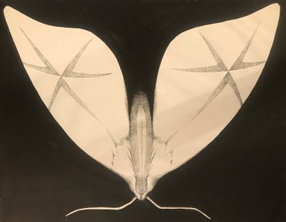 ATELIER JACQUES FOUGEIROL
CONSTELLATIONS,...