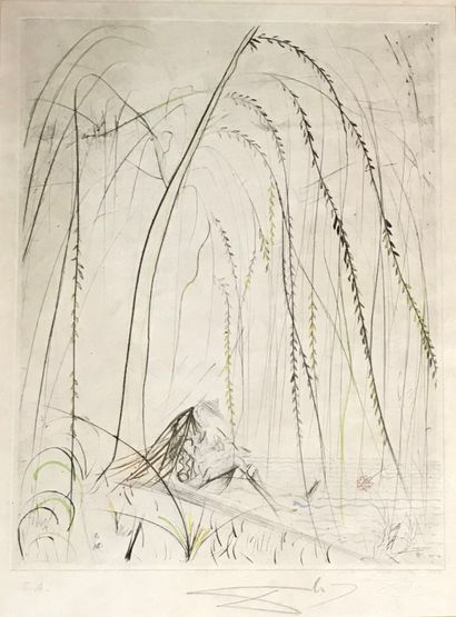 Salvador DALÍ (1904-1989) :
THE PAINTER....