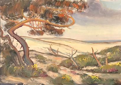Jean-Roger SOURGEN (1883-1978) :
- HOSSEGOR,...