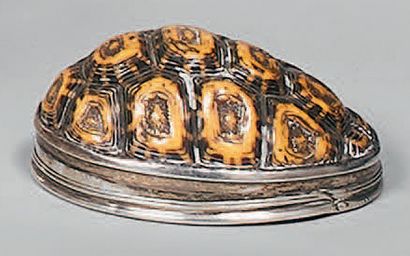 Boîte en carapace de tortue, la monture et...