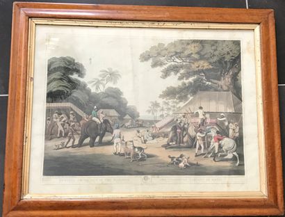 After CAPTAIN THOMAS WILLIAMSON :

Pair of...