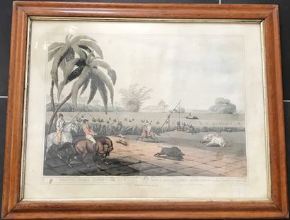 After CAPTAIN THOMAS WILLIAMSON :

Pair of...