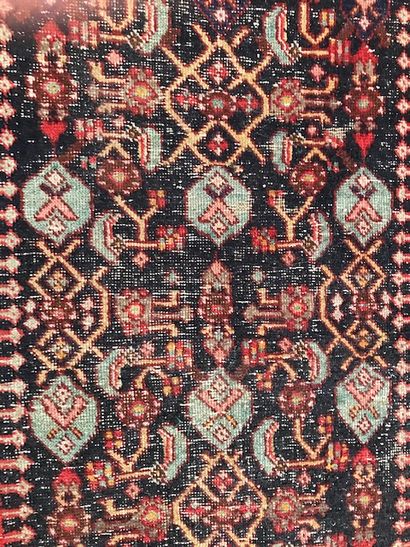 Oriental wool carpet. Decorated in the center...