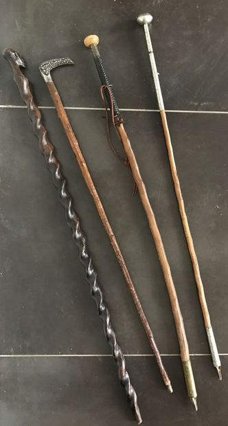 Set of canes : 

- a makula, the handle in...
