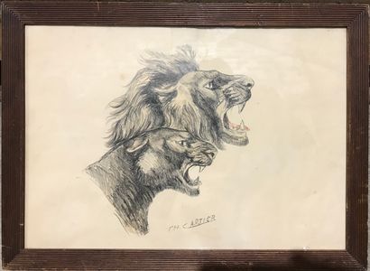 Thomas François CARTIER (1879-1943) : TÊTES...