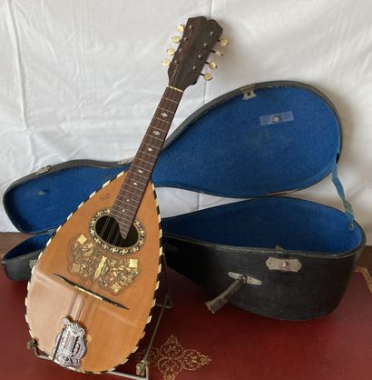 Mandoline napolitaine en palissandre et bois...