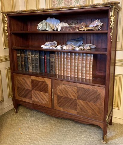 Wooden bookcase inlaid with nets drawing...