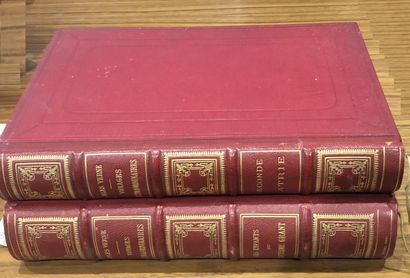 Jules VERNE. EXTRAORDINARY JOURNEYS. SECOND...