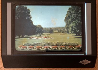 Ensemble de quatorze autochromes à sujet...