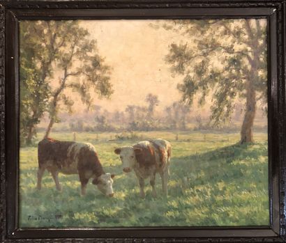 Félix PLANQUETTE (1873-1964) : VACHES DANS...
