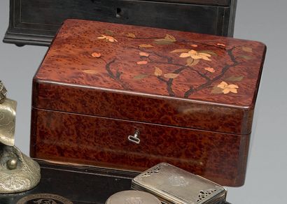 Rectangular burr wood jewelry box, the lid...