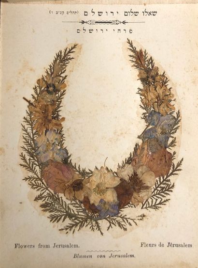 Small herbarium of the Holy Places, the plates...