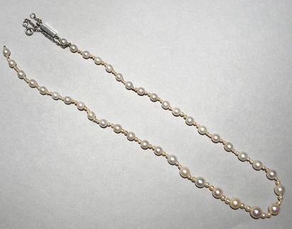 Necklace of forty cultured pearls in fall...