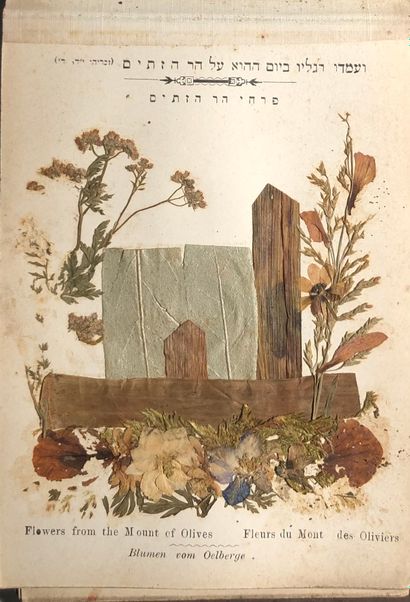 Small herbarium of the Holy Places, the plates...