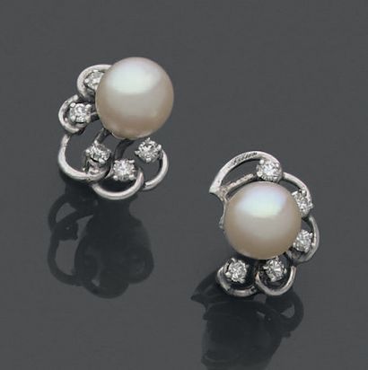 Pair of 18K (750) white gold ear studs, set...