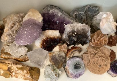 Important collection of minerals and slices...