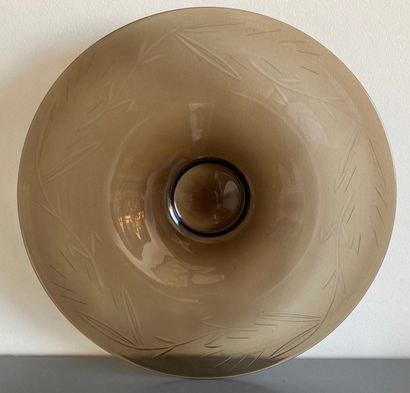 Large smoked glass bowl, the wing decorated...