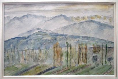 Daniel DOUROUZE (1874-1923): PAYSAGE DE SAVOIE....