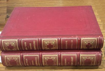 Jules VERNE. EXTRAORDINARY JOURNEYS. SECOND...