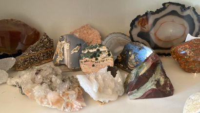 Important collection of minerals and slices...