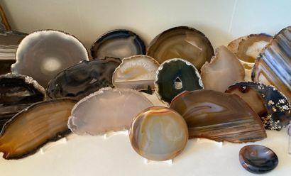 Important collection of minerals and slices...