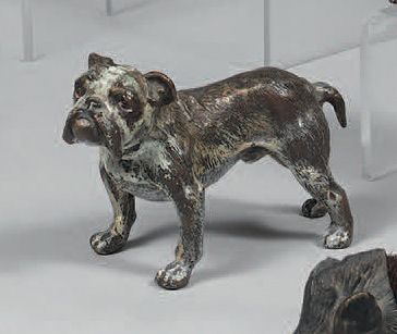 
English bulldog. Marked Austria Geschützt....