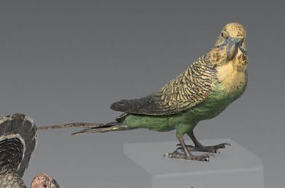 Wavy parakeet. H. : 8,5 cm. L. : 15,5 cm...