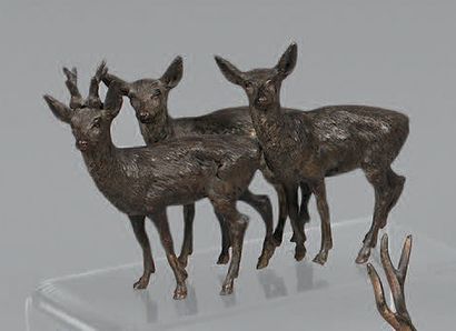 Young stag and two hinds. Marked Geschützt....