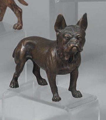 Boston terrier. Marked Geschützt. 
H. : 10,2...