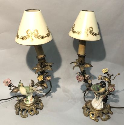 Paire de lampes en bronze et laiton doré...