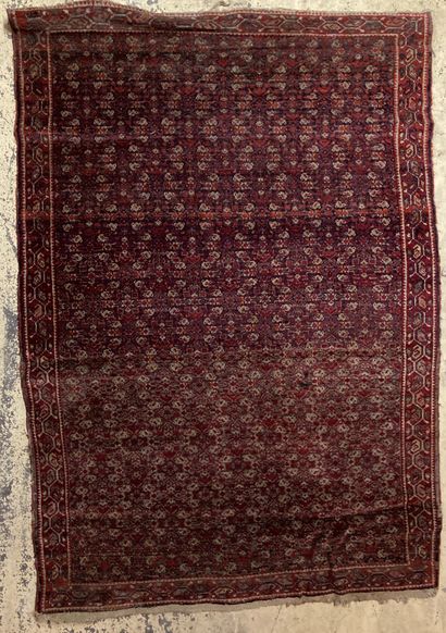 Oriental wool carpet decorated with a stylized...