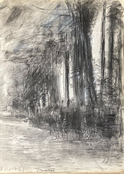 Drawing album, canvas covered. Inside charcoal...