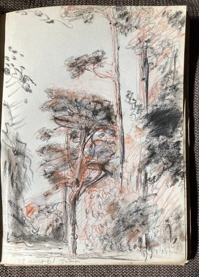 Drawing album, canvas covered. Inside charcoal...