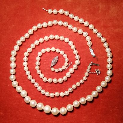 Necklace of pearls of culture in fall, the...