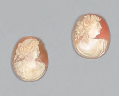 Quatre camées sur coquille : deux de forme...