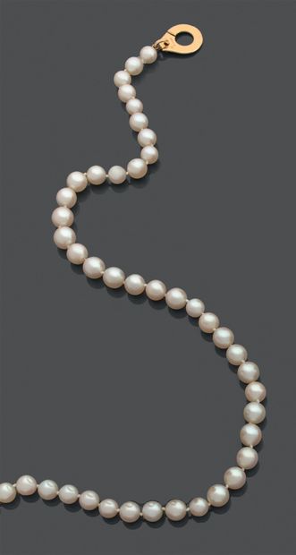 Necklace of pearls, the clasp 