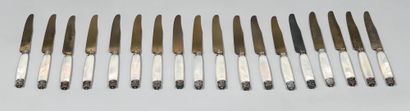Twelve fruit knives with blade, ferrule and...