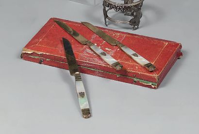 Twelve fruit knives with blade, ferrule and...
