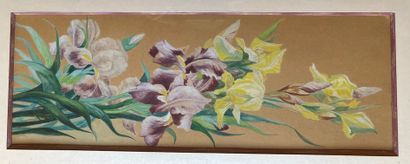 FRENCH SCHOOL, circa 1900: IRIS - IRIS AND...