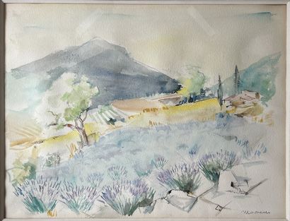 MODERN SCHOOL - MOONEUS***: PROVENCAL LANDSCAPE....