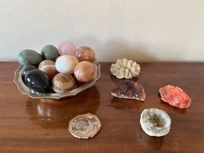 Collection d'œufs en pierre dure, dans une...