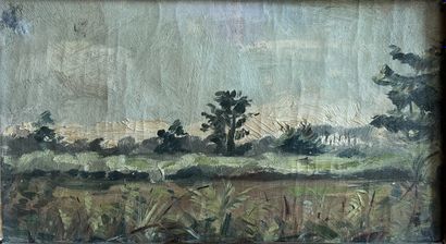 Gaëtan DUMAS (1879-1950) : PAYSAGE. Oil on...