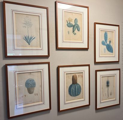 Suite of seventeen framed pieces of exotic...