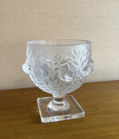 Maison LALIQUE : 