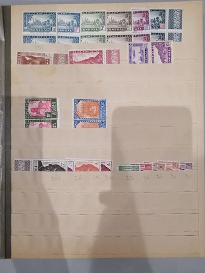 Album de timbres des Colonies et Territoires...