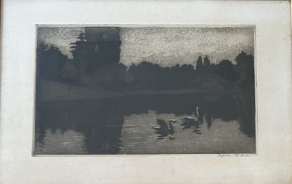 Wilhelm LEFEBRE (1873-1974): THE CYGNES....