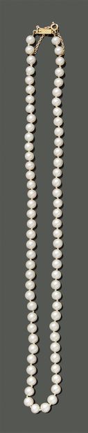 Necklace of pearls, the clasp with safety...