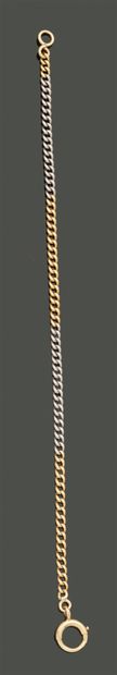 Yellow gold and 18K (750) white gold chain...