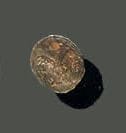 Small steel seal, the oval matrix representing...