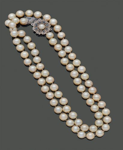 Necklace choker of cultured pearls, the clasp...
